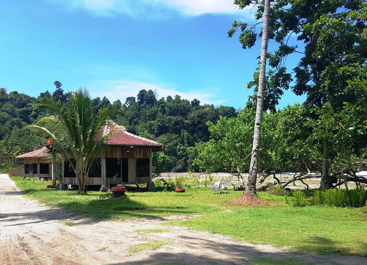 Revive Lampung Krui King Resort ภายนอก รูปภาพ
